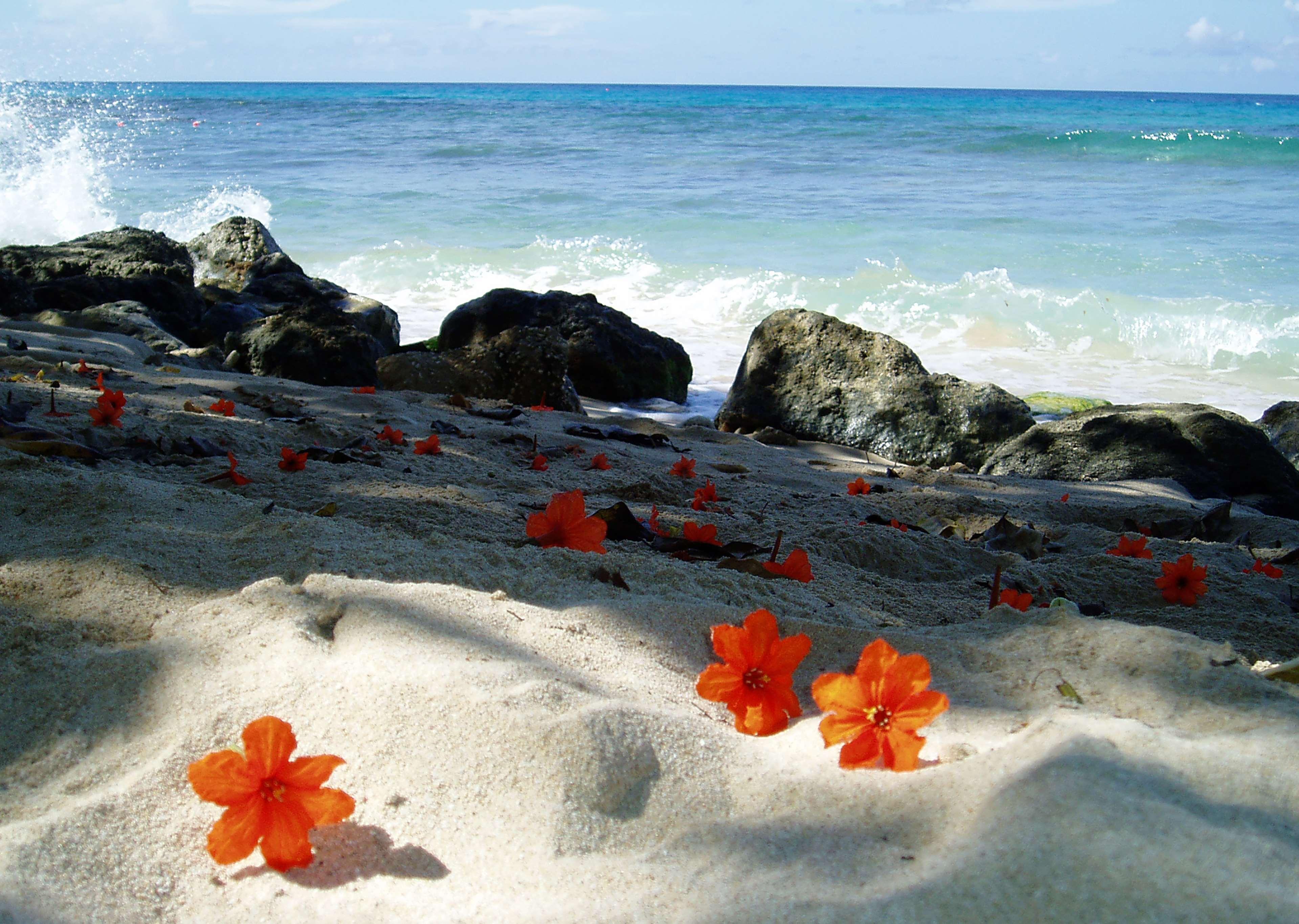Divi Southwinds Beach Resort Christ Church Bagian luar foto