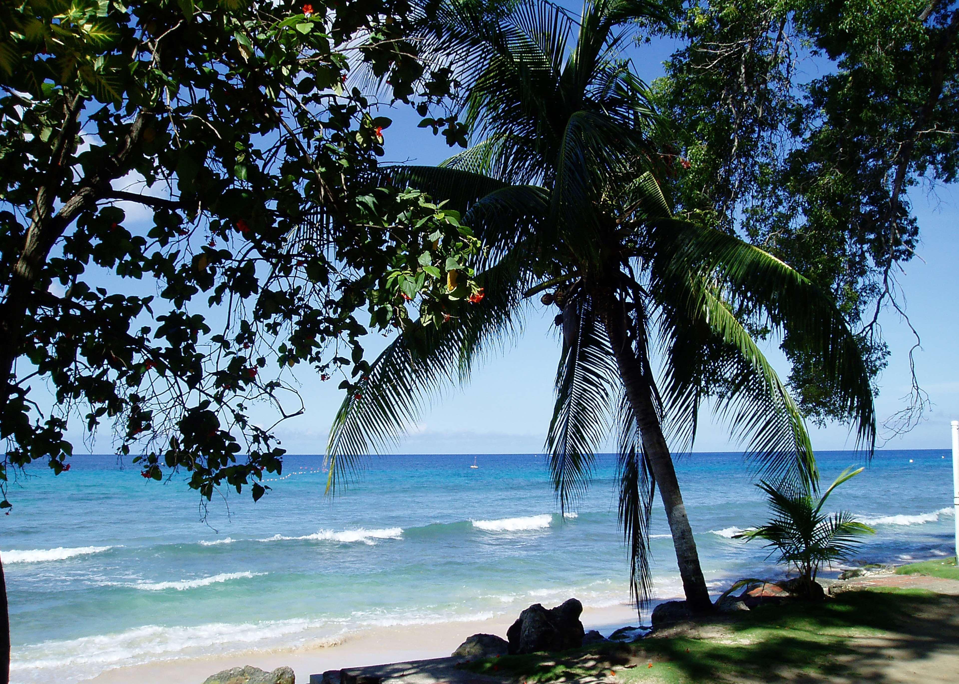 Divi Southwinds Beach Resort Christ Church Bagian luar foto
